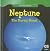 Neptune: The Stormy Planet