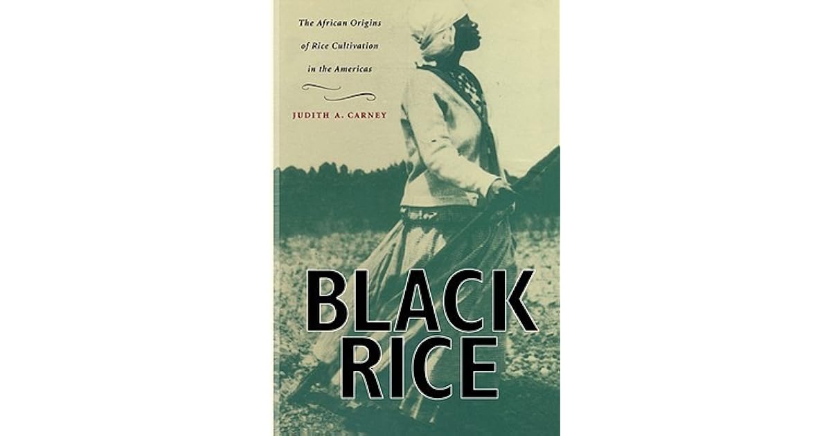 Black Rice The African Origins of Rice Cultivation in the