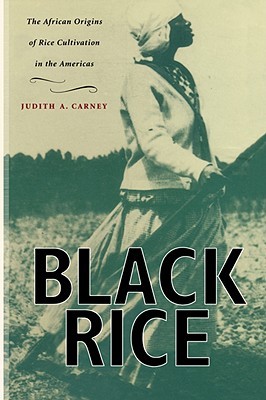 Black Rice: The African Origins of Rice Cultivation in the Americas (Paperback)
