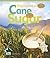Cane to Sugar by Julie Murray