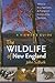 The Wildlife of New England: A Viewer's Guide (UNH Non-Series Title)