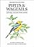 Pipits and Wagtails of Europe, Asia and North America (Helm Identification Guides)