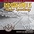 Indianapolis Motor Speedway: 100 Years of Racing