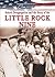 School Desegregation and the Story of the Little Rock Nine (From Many Cultures, One History)