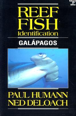 Reef Fish Identification: Galapagos (Paperback)