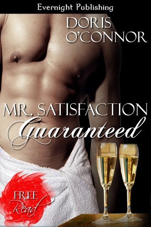 Mr. Satisfaction Guaranteed (ebook)