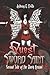 Quest of the Sword Saint (Tale of the Dark Kensai)