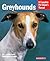 Greyhounds: Everything Abou...