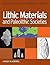 Lithic Materials and Paleolithic Societies