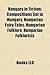 Hungary in Fiction: Compositions Set in Hungary, Hungarian Fairy Tales, Hungarian Folklore, Hungarian Folklorists