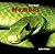 Mambas (Scary Snakes)