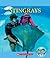 Stingrays