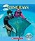 Stingrays (Nature's Children)