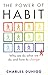 The Power of Habit: Why We ...