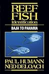 Reef Fish Identification: Baja to Panama