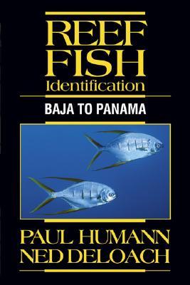 Reef Fish Identification: Baja to Panama (Paperback)