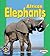 African Elephants (Pull Ahe...