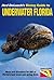 Diving Guide to Underwater Florida by Ned DeLoach