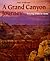 A Grand Canyon Journey: Tracing Time in Stone (First Books--Earth & Sky Science)