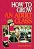 How To Grow An Adult Class
