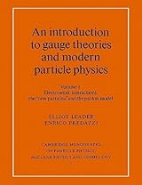 Popular Gauge Theory Books