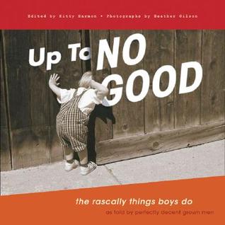 Up to No Good: The Rascally Things Boys Do (Paperback)