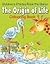 The Origin of Life (Colouring Book)