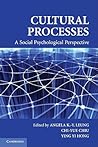 Cultural Processes: A Social Psychological Perspective (Culture and Psychology)
