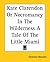 Kate Clarendon Or Necromancy In The Wilderness A Tale Of The Little Miami