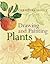 Drawing and Painting Plants by Christina Brodie