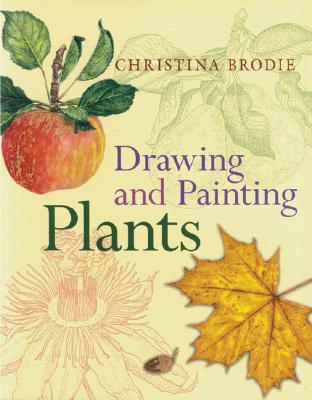 Drawing and Painting Plants (Paperback)