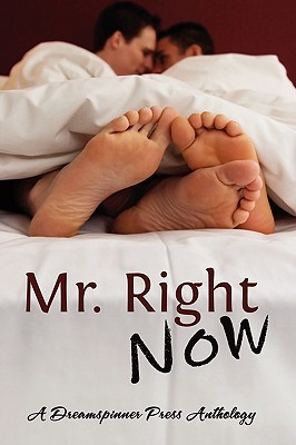 Mr. Right Now (Paperback)