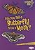 Can You Tell a Butterfly fr...