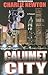 Calumet City (Thorndike Large Print Crime Scene)