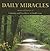 Daily Miracles by Alan Briskin