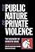 The Public Nature of Private Violence