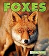 Foxes (New Naturebooks) Foxes (New Naturebooks)