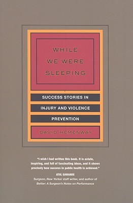 While We Were Sleeping: Success Stories in Injury and Violence Prevention (Paperback)