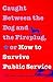 Caught Between the Dog and the Fireplug, or How to Survive Pu... by Kenneth H. Ashworth