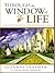 Through the Window of Life by Suzanne Freeman