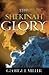 THE SHEKINAH GLORY