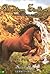 Secret Star (Phantom Stallion, #19)