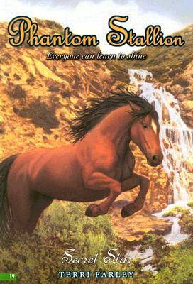 Secret Star (Phantom Stallion, #19)