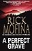 A Perfect Grave (Jason Wade...