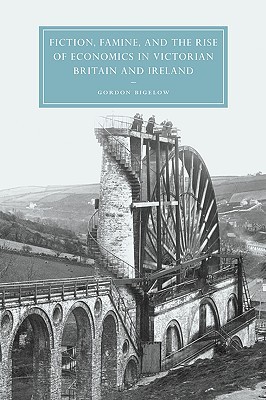 Fiction, Famine, and the Rise of Economics in Victorian Britain and Ireland (Cambridge Studies in Nineteenth-century Literature & Culture)