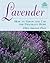 Lavender by Ellen Spector Platt