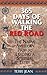 365 Days Of Walking The Red Road by Terri Jean