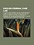 English Criminal Case Law: R V Dudley and Stephens, Case of the Hooded Man, R V Hinks, R V Davis, R V Wallace, Royal Mail Case, R V Bailey