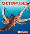 Octopuses