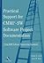 Practical Support for CMMI-...